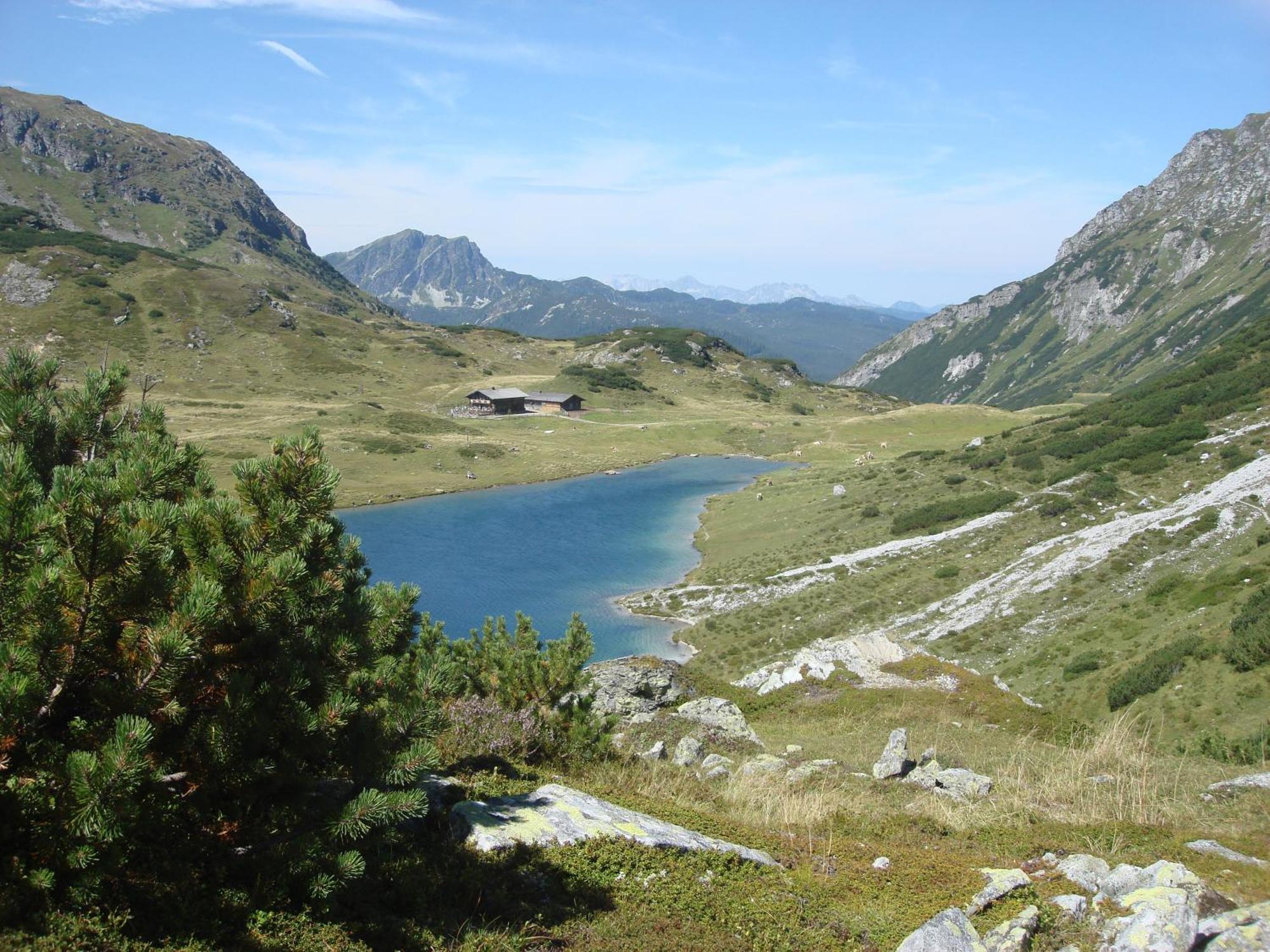Pension Sonnwendhof Ramsau am Dachstein Eksteriør bilde