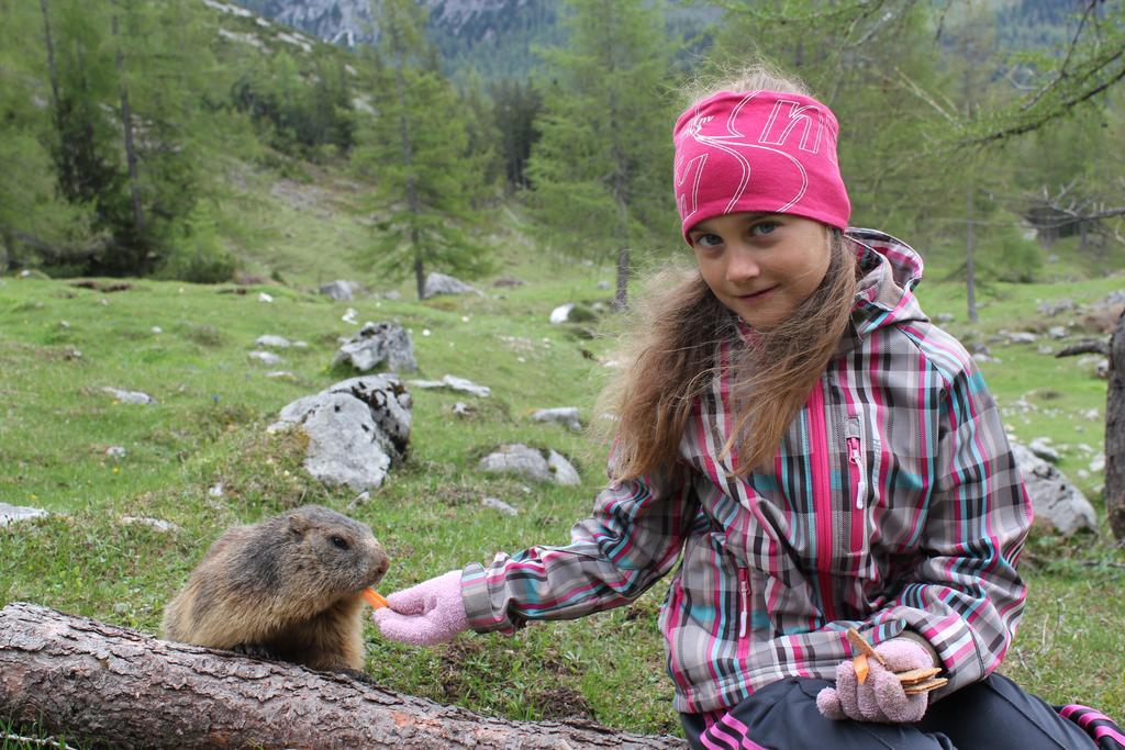 Pension Sonnwendhof Ramsau am Dachstein Eksteriør bilde