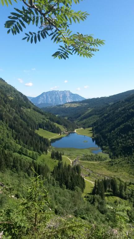 Pension Sonnwendhof Ramsau am Dachstein Eksteriør bilde